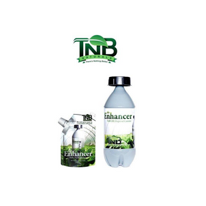 TNB Co2 canister 240g